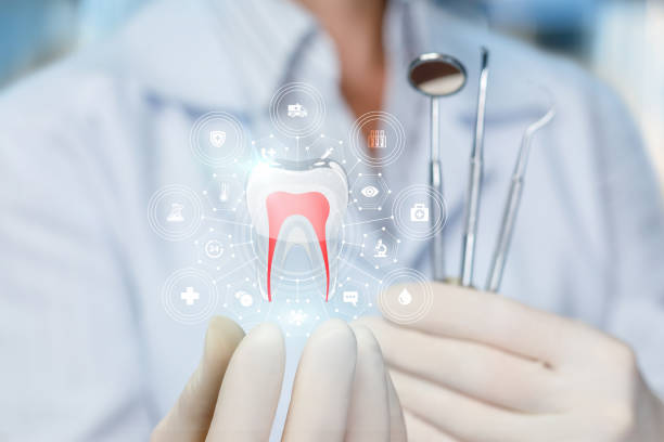 Professional Dental Services in Gulfport, FL